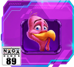 สัญลักษณ์พิเศษ ไก่งวง