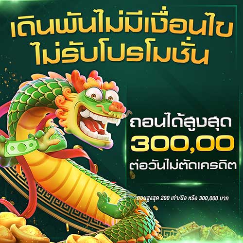 ไม่รับโปร